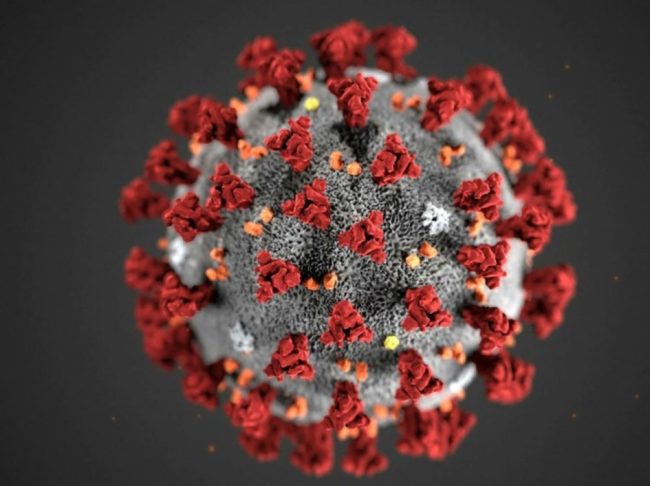 coronavirus