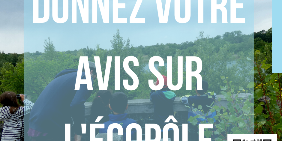 293523629_3208326269444298_2367301536839548074_n Questionnaire Enquête de fréquentation