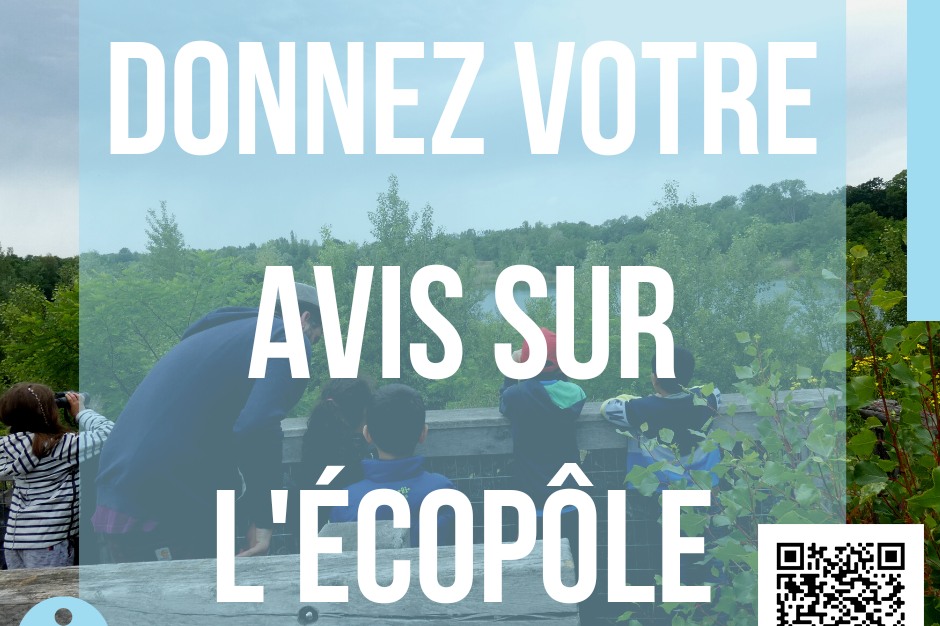 Questionnaire Enquête de fréquentation