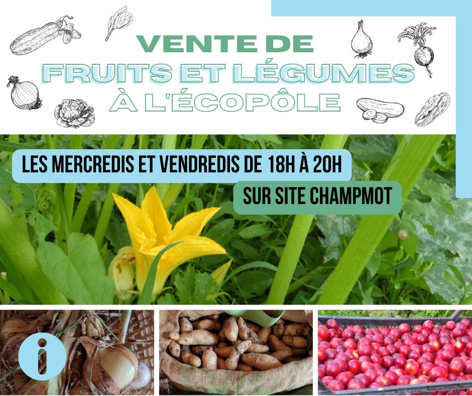 Vente de légumes annuelle sur l'Ecopôle du Val d'Allier