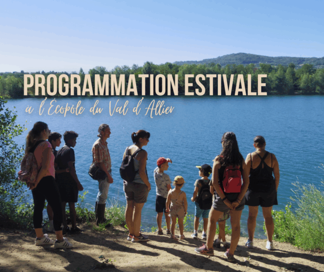 visuel actu reea